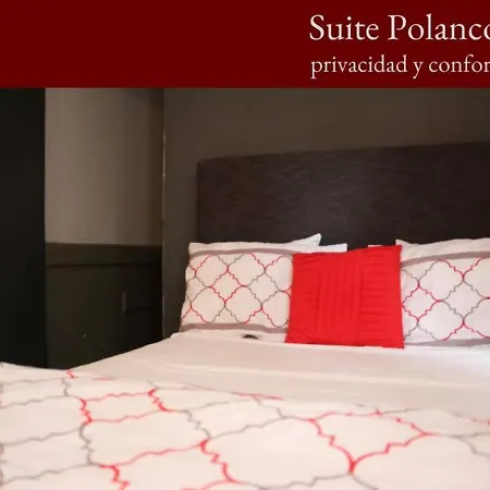 Room In House - Suite Polanco, Your Comfort Is Our Priority
