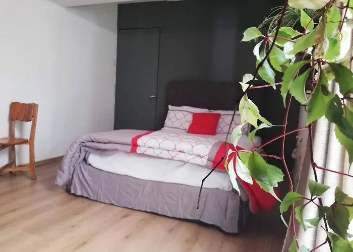In House - Polanco, Your Comfort Is Our Priority Guest house