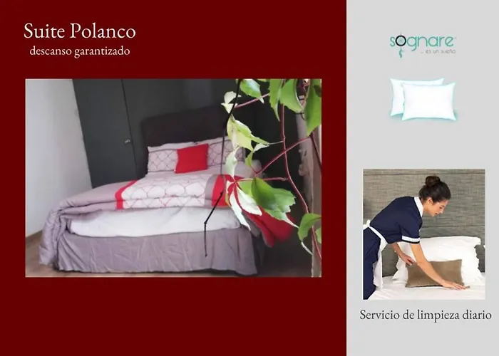 In House - Polanco, Your Comfort Is Our Priority Guest house Mexico City